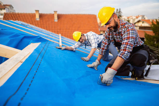 Roof Gutter Cleaning in Yelm, WA